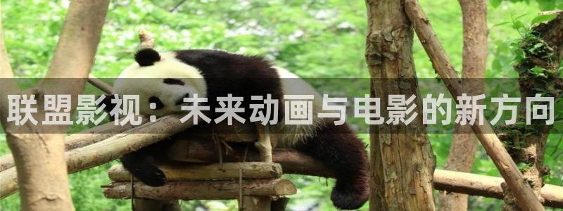 天美精东影业传媒：联盟影视：未来动画与电影的新方向