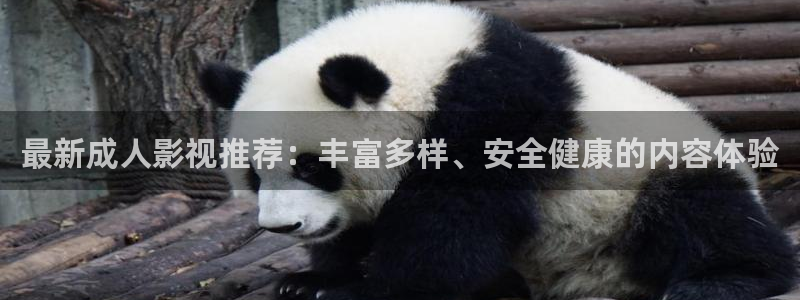 精东影：最新成人影视推荐：丰富多样、安全健康的内容体验