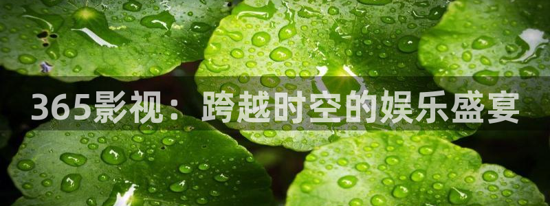 精东影业作品：365影视：跨越时空的娱乐盛宴