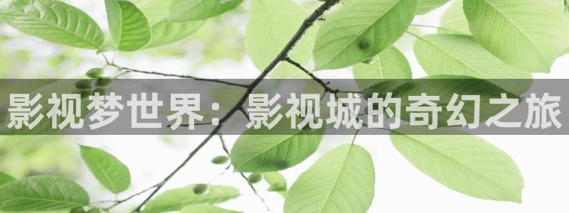精东影业入口：影视梦世界：影视城的奇幻之旅