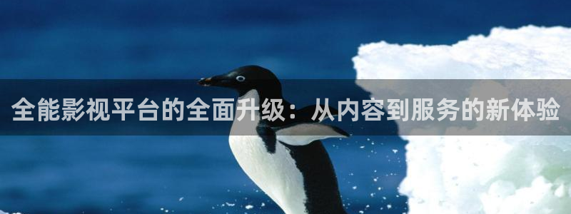 天美传媒精东影业皇家华人：全能影视平台的全面升级：从内容到服务的新体验