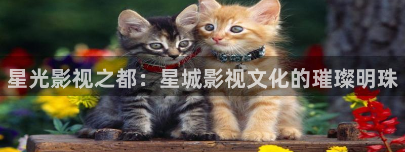 精东影视app下载：星光影视之都：星城影视文化的璀璨明珠