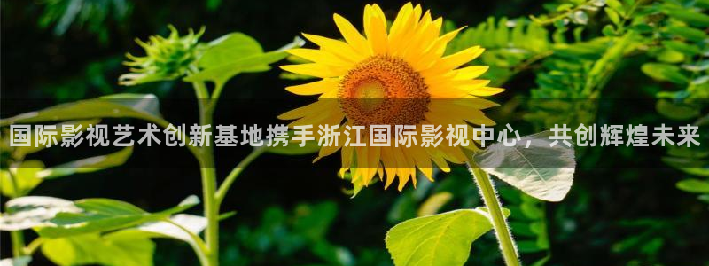 星空传媒精东影业：国际影视艺术创新基地携手浙江国际影视中心，共创辉煌未来