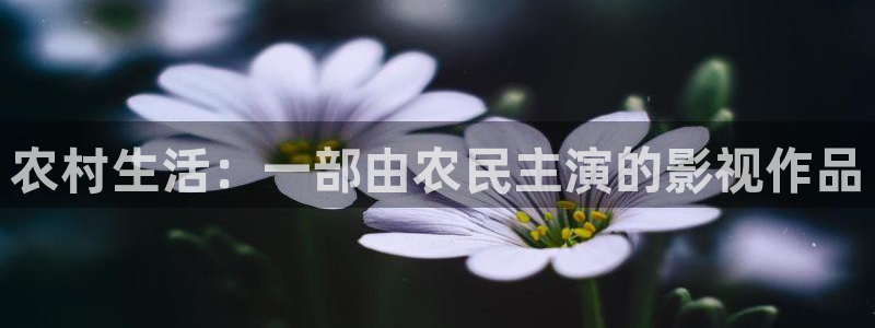 精东电影：农村生活：一部由农民主演的影视作品