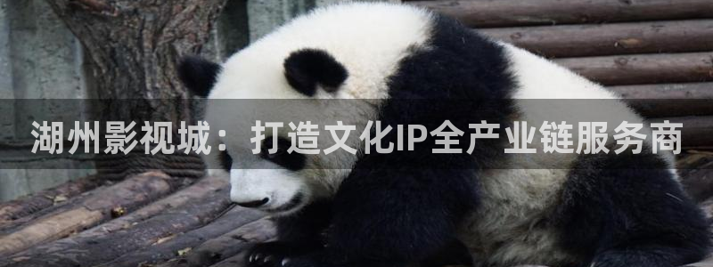精东影业电影完整版免费观看：湖州影视城：打造文化IP全产业链服务商